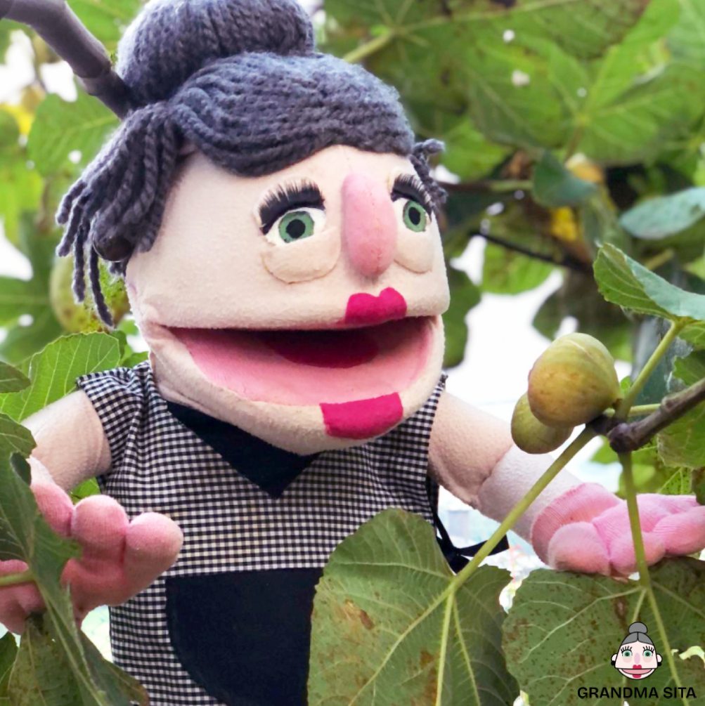 GrandmaSita-Calendar-Fig